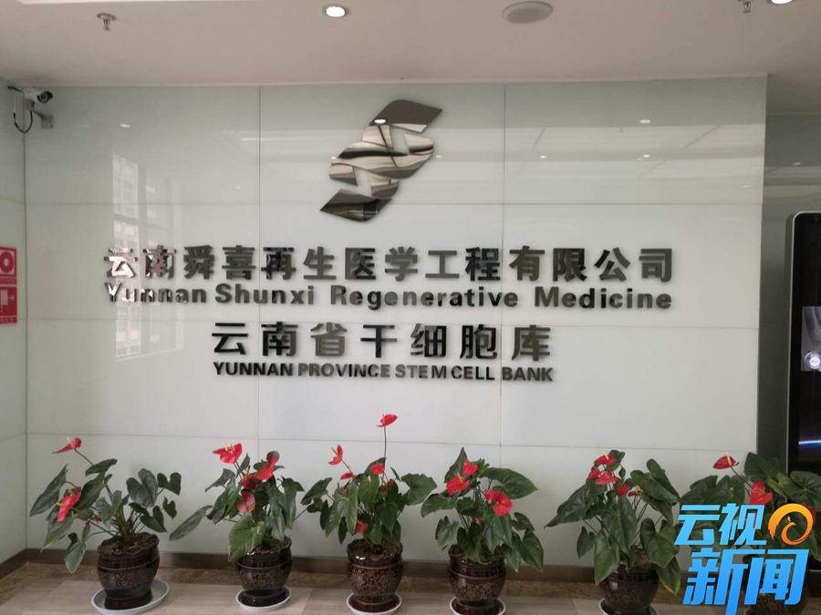 干细胞研究新成果,我国干细胞抗衰老研究获重大突破