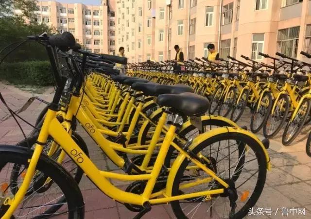 为什么要定居省会城市,为什么定居淄博