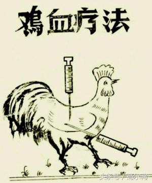 打鸡血是哪一年的事,1967年打鸡血是如何风靡全国的
