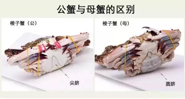 烟台人炫富方式,烟台开海炫富是真的吗