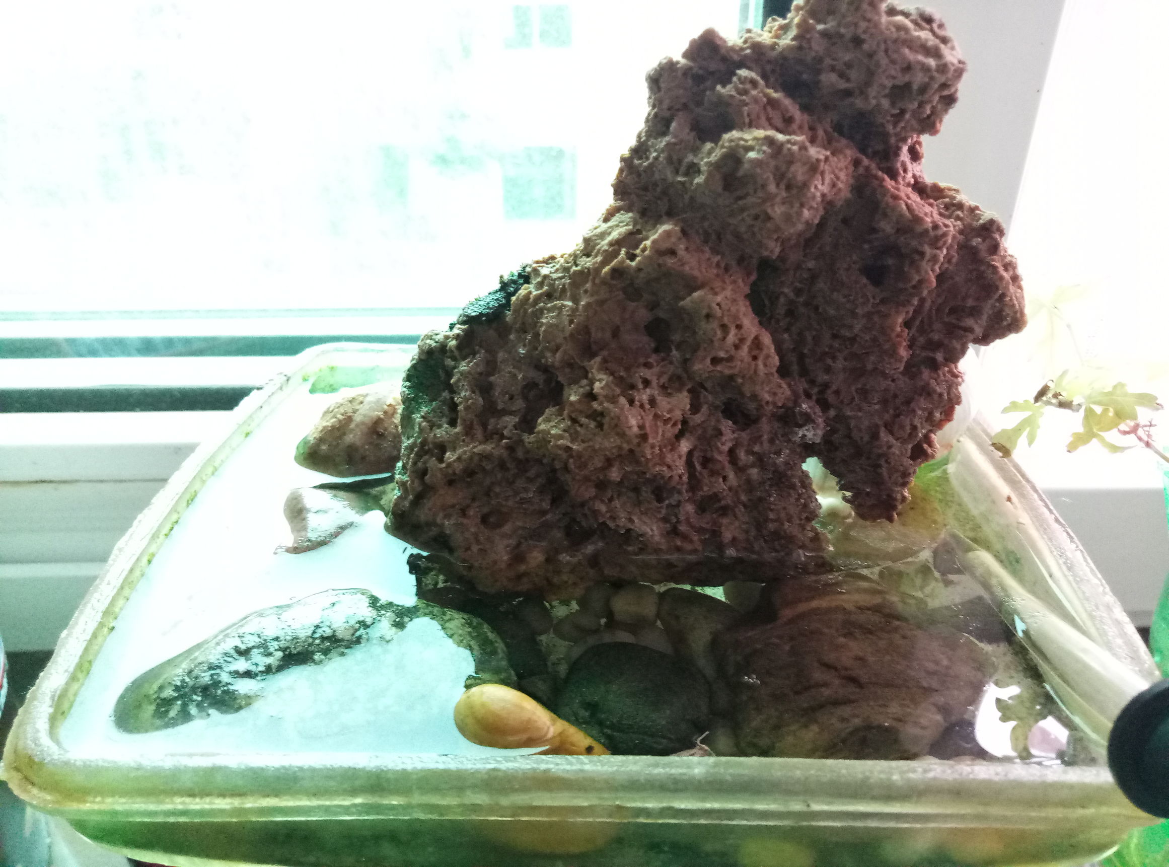 花器制作篇,用什么来制作花器