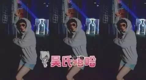 无尾熊吴昕问潘玮柏真假,如何看待吴昕和潘玮柏的无尾熊cp