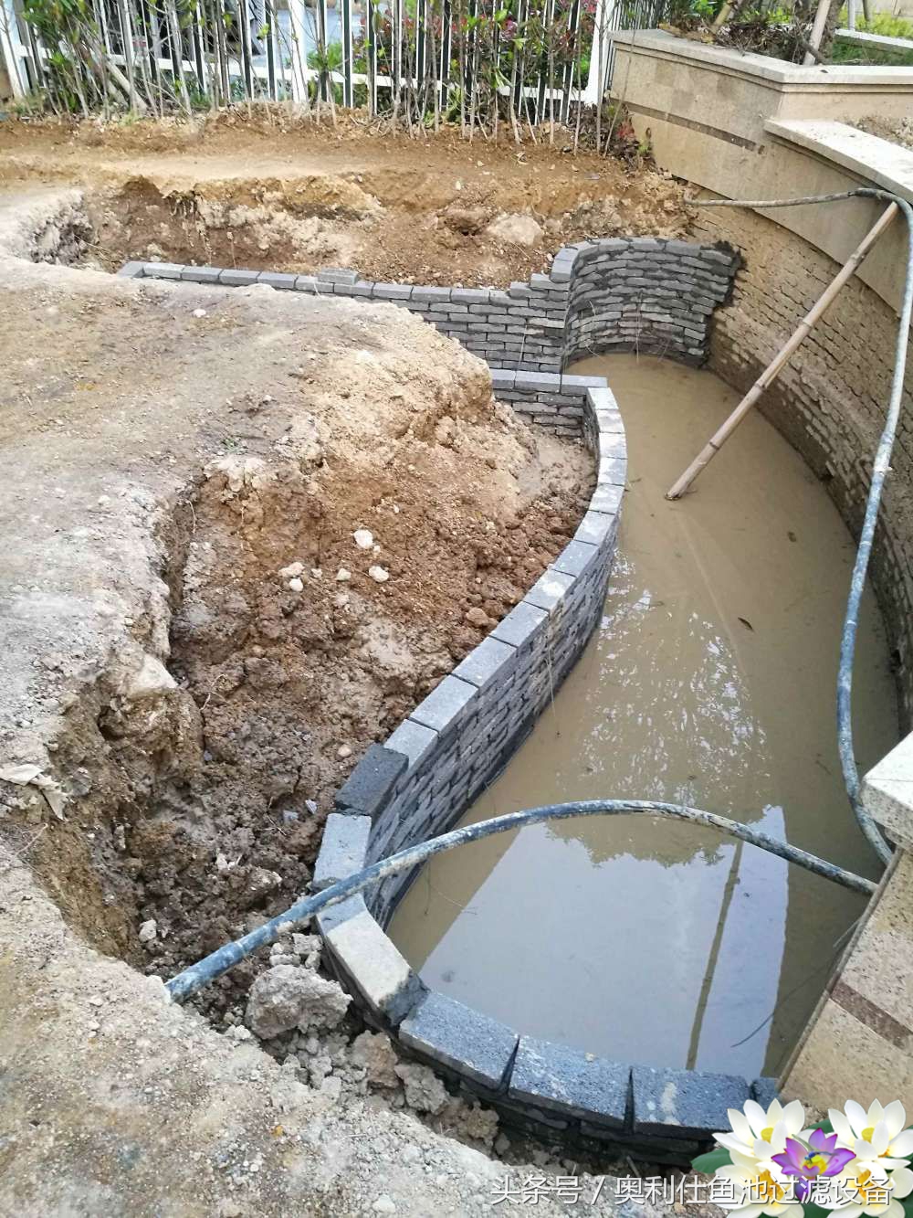 10吨小鱼池的完美养成记