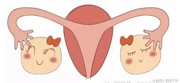 女性卵巢衰老的六大禁忌,女性卵巢功能衰退的危害