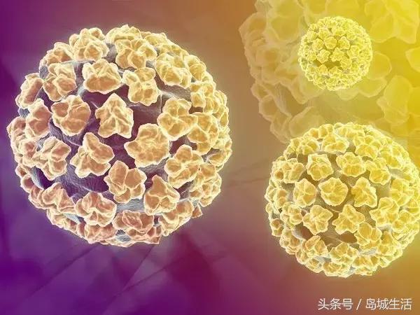 慢性宫颈炎hpv阳性想怀孕有影响吗,hpv11低危型阳性能怀孕吗