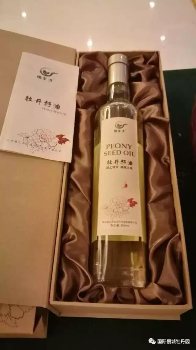 专业角度看凤丹各器官特点,带你全面科学认识高淳四宝-白牡丹