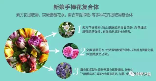 不上粉底伪素颜妆教程,不用卸妆的伪素颜妆