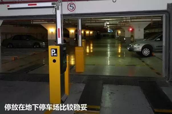 车上鸟粪怎么清理干净,车上鸟粪去除好方法