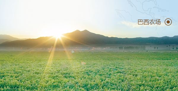 选择保健品,选择什么样的保健品