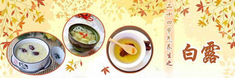 二十四节气之白露歌曲,二十四节气之白露作品