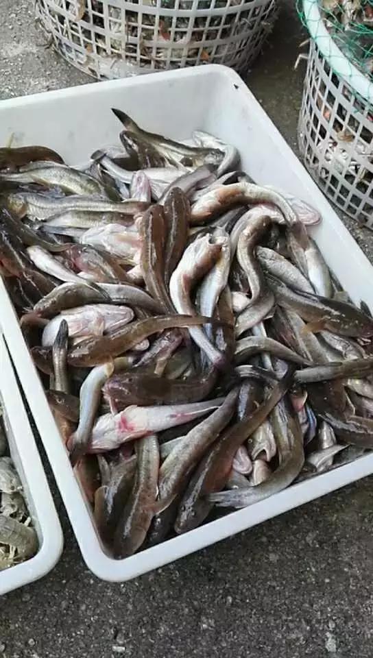 有一种炫富叫开海了,天津炫富视频