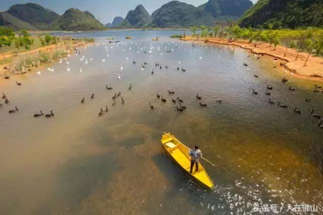 佛山西站出发动车直达！九月的普者黑，美成一幅脱俗的3D田园画~