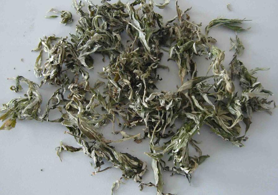 家有三年艾，郎中不用来！没想到这种草这么牛！