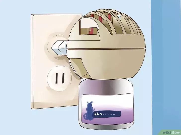 领养的新猫到家后的正确流程,怎么把新猫带回家