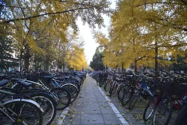 春风十里,吹不散这茬人长达一年的军训记忆