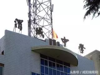 最美校园评选奖励是真的吗,评比最美校园