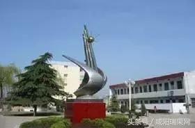 最美校园评选奖励是真的吗,评比最美校园