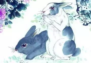 恩师真传的十二生肖婚配之忌,最佳的配偶十二生肖