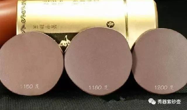 养茶宠有什么危害,你真的会养兰花吗