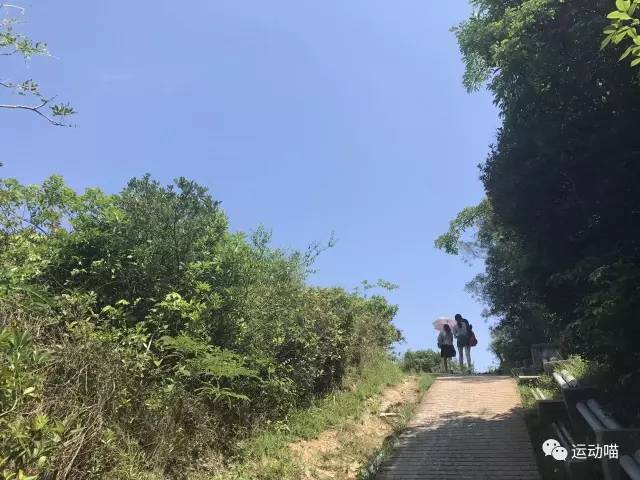 香港南丫岛一日游攻略,香港南丫岛旅游攻略一日游