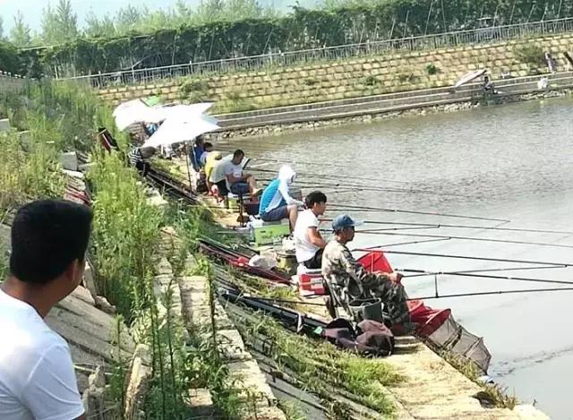 岫岩满族自治县黄花甸镇篮球赛,岫岩黄花甸篮球赛