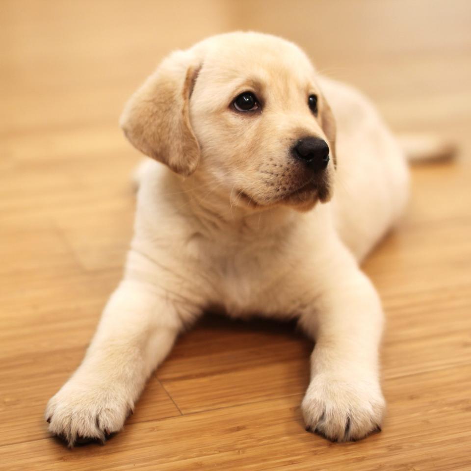 微信相册封面图片大全,微信相册封面图是什么