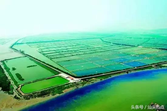 一个去了还想去的地方三亚,一个去了还想去的城市