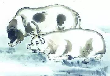 恩师真传的十二生肖婚配之忌,最佳的配偶十二生肖