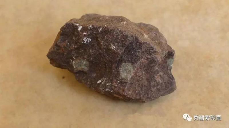 养茶宠有什么危害,你真的会养兰花吗