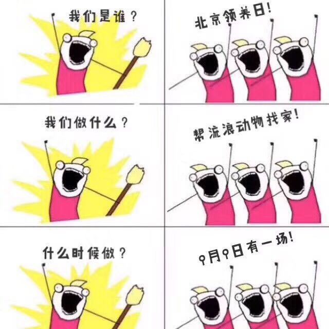 没钱能救助流浪动物么,没钱学生党怎么办