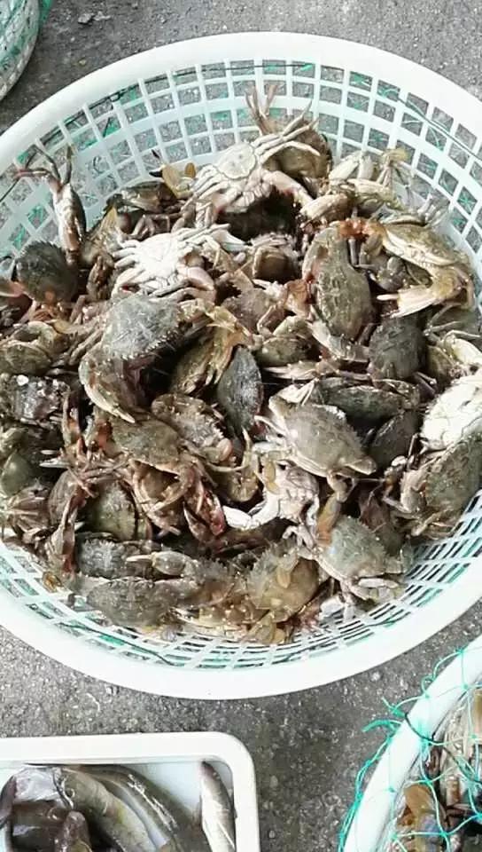 有一种炫富叫开海了,天津炫富视频