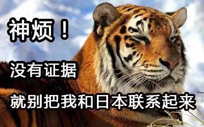 打个仗而已，起这么奇怪的行动代号是想笑死对手吗？