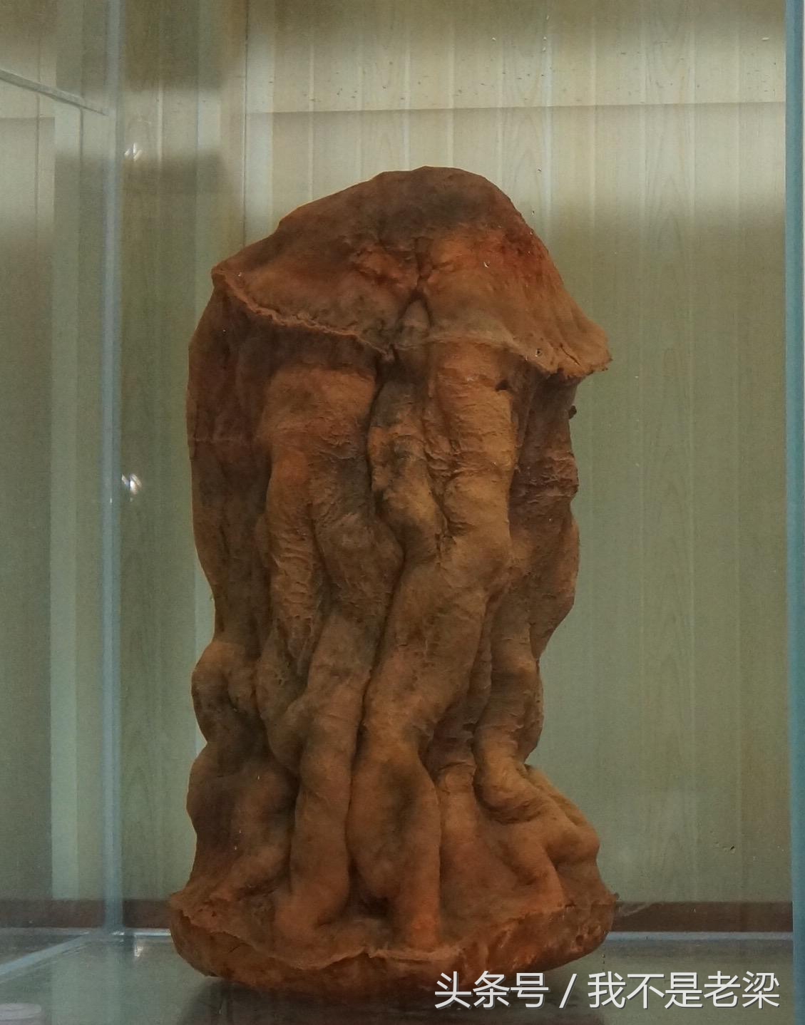 新疆太岁跟东北太岁有什么区别,中国人常说的太岁到底是什么