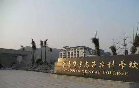 来肇新生看过来,这份交通指引能帮你大忙!