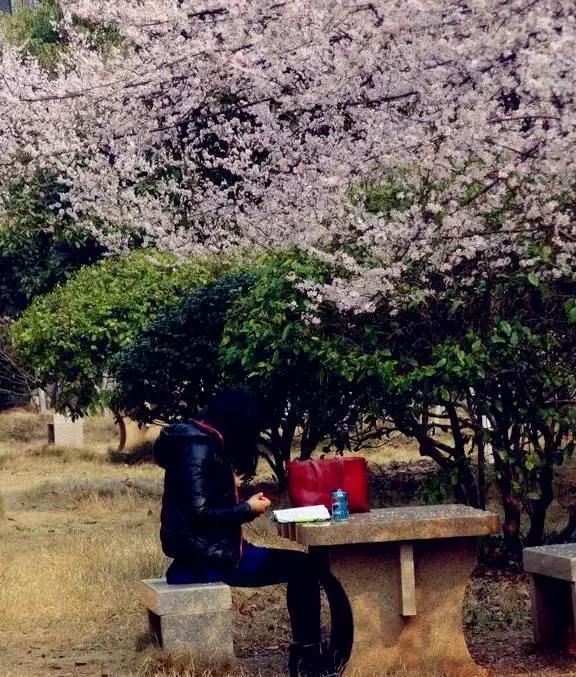 长沙民政学院一所来了就不想走的大学