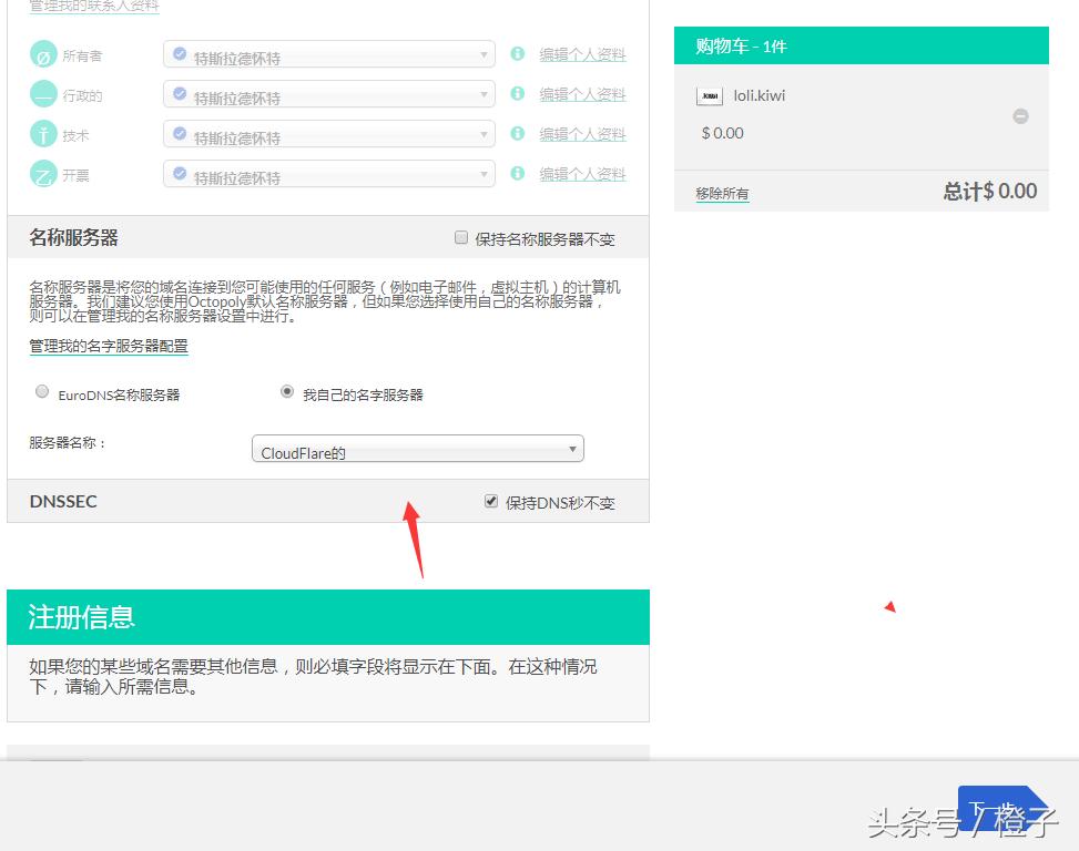 kiwibrowser注册流程,kiwicoo商标注册