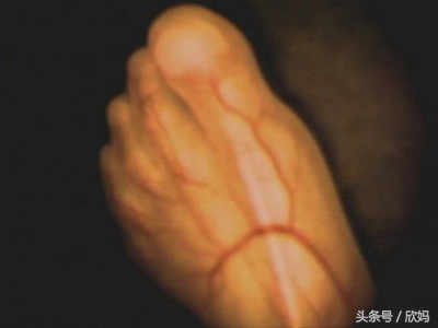 妈妈知道宝宝在肚子里,胎宝宝在肚子里的发育