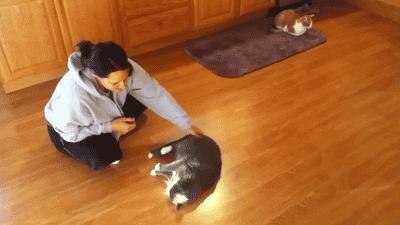 吉安建材木地板推销,吉安建材瓷砖推销