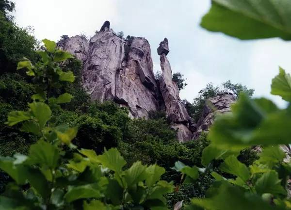 老板：“今天我要请假去神灵寨坐花轿，赢终身免门票”！请批准！