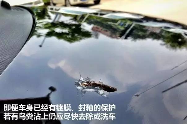 车上鸟粪怎么清理干净,车上鸟粪去除好方法