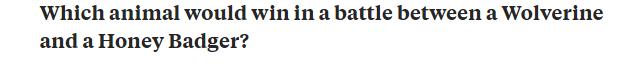 狼獾vs平头哥vs黄鼠狼,平头哥都怕的狼獾有多凶