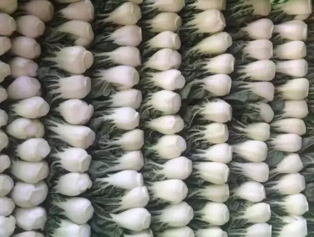 八月菜价大盘点，6成品种上涨带来黄金行情，附广州江南0901菜价