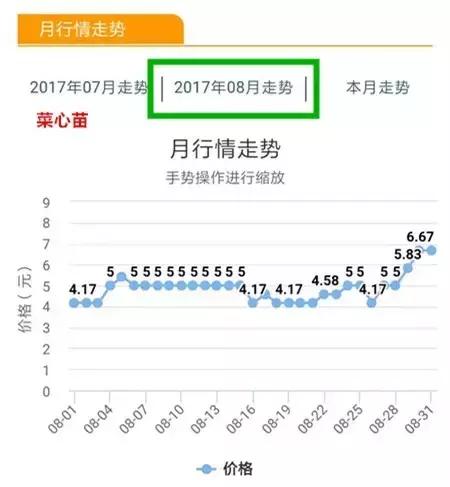 八月菜价大盘点，6成品种上涨带来黄金行情，附广州江南0901菜价