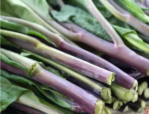 八月菜价大盘点，6成品种上涨带来黄金行情，附广州江南0901菜价