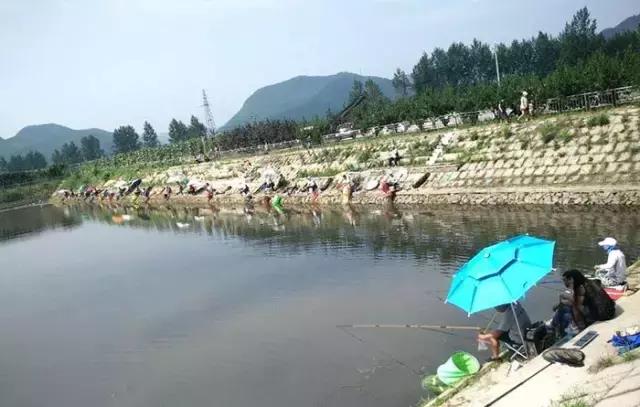 岫岩满族自治县黄花甸镇篮球赛,岫岩黄花甸篮球赛