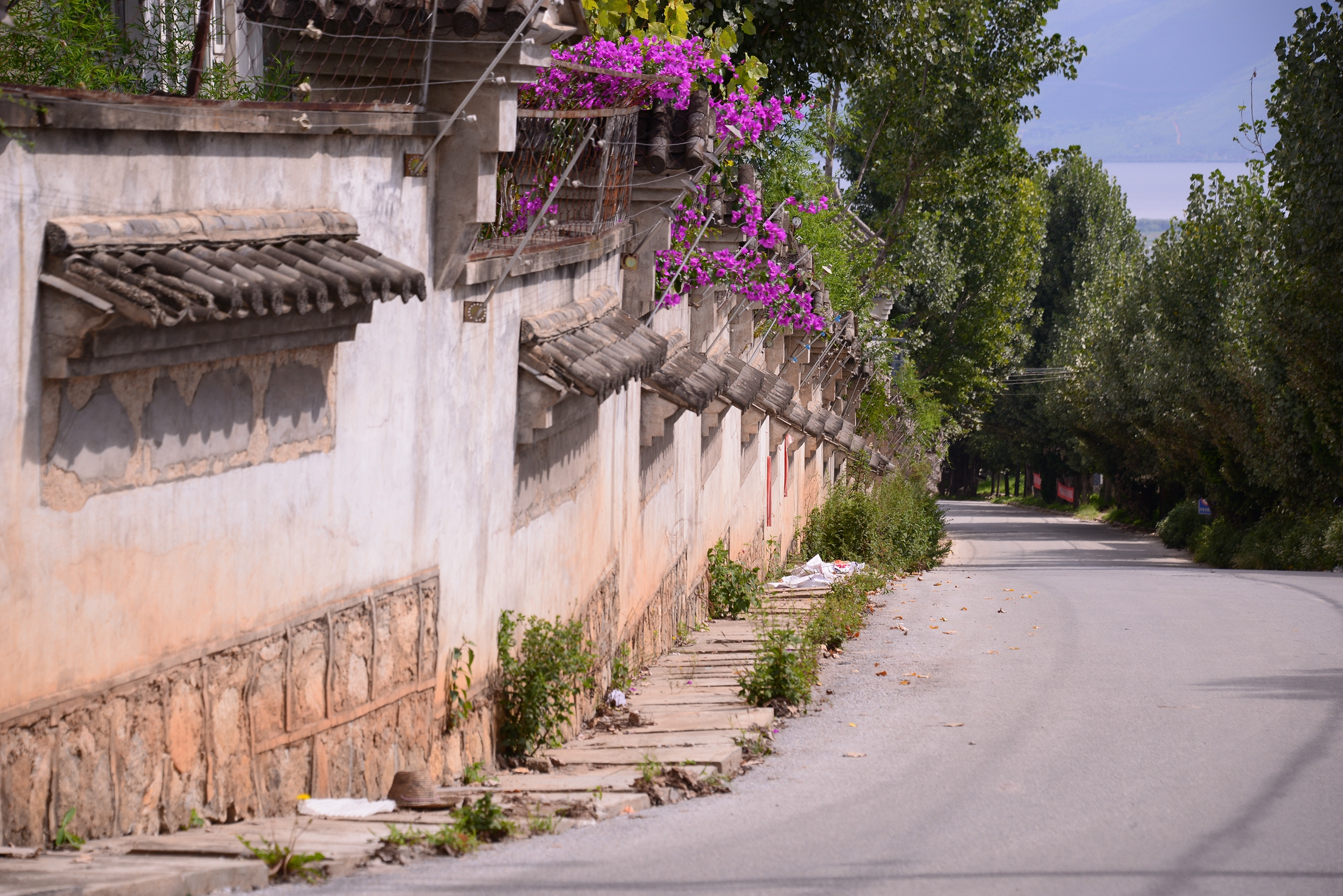 大理旅居租房子,大理古城租房旅游