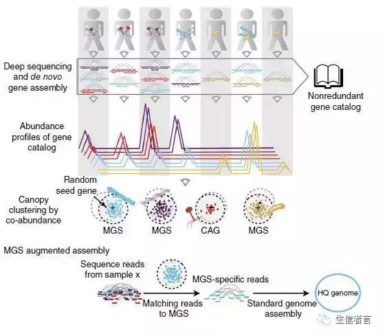 宏基因组多样性,宏基因组的binning分析是什么