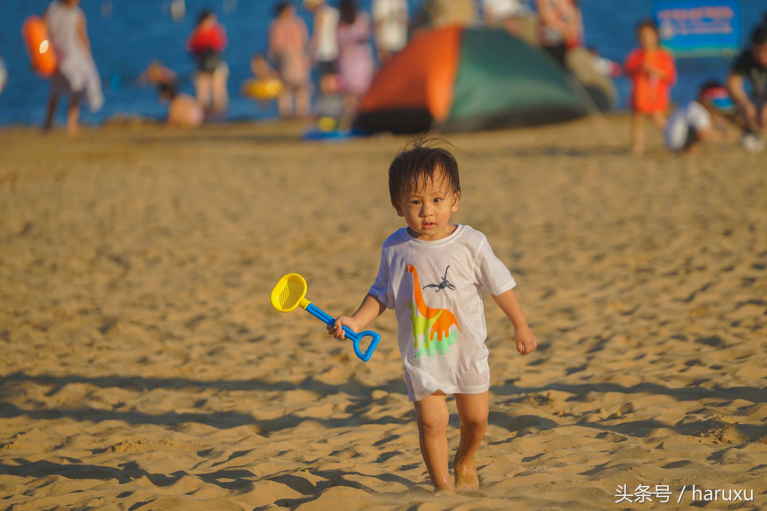 上海适合度假的酒店,海边酒店度假推荐