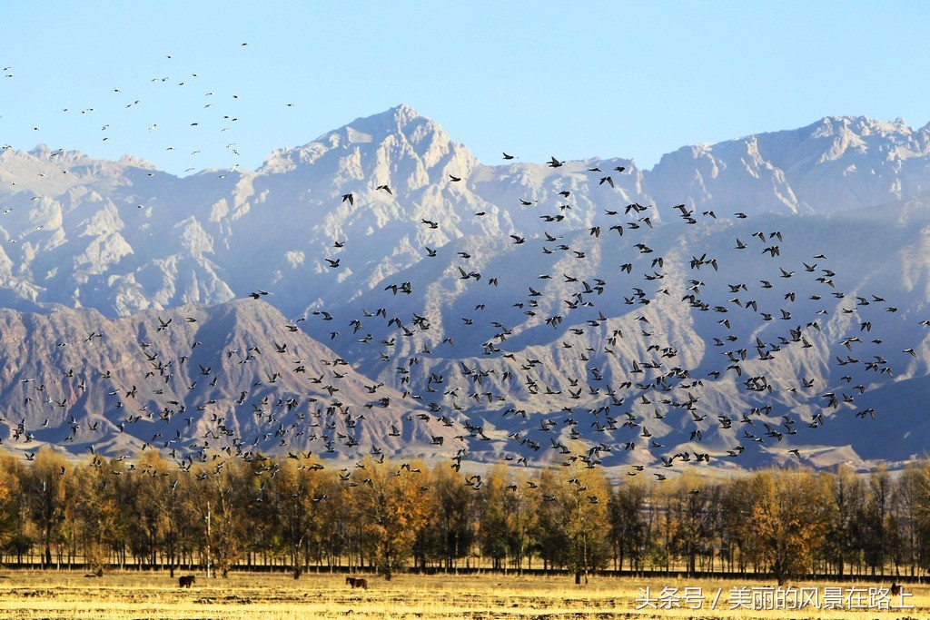 郑州到青海的火车票只需236元，你差的只是出发的勇气！
