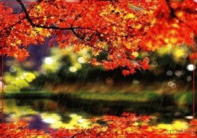 秋天的第一场雨淅淅沥沥,秋天的那一场雨